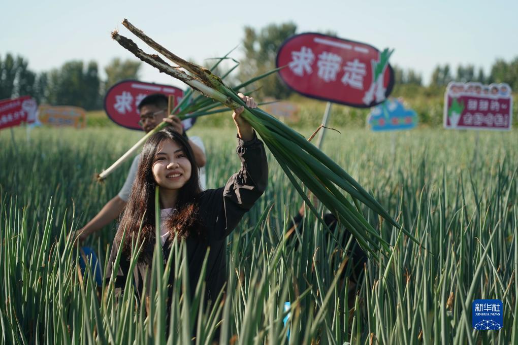 永利正规网址